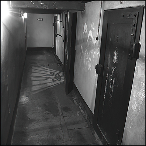 the basement of Block 11, Auschwitz