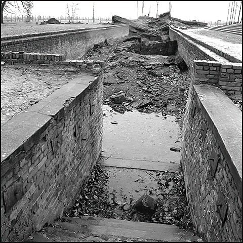 crematorium II - Birkenau