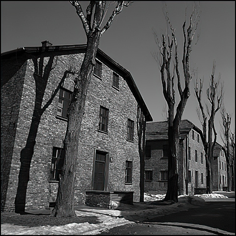 A road within Auschwitz