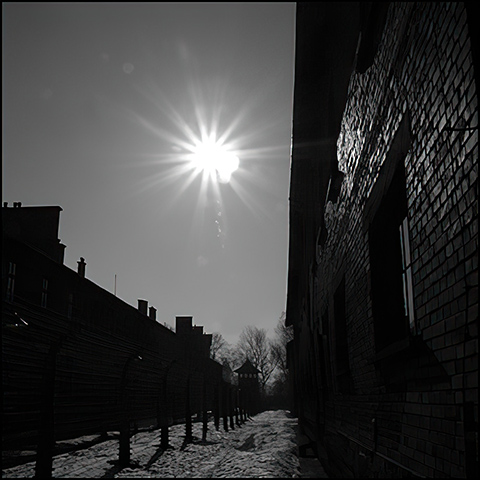 Gestapo HQ, Auschwitz