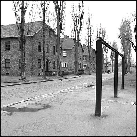 Auschwitz gallows