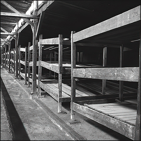 living barracks, Birkenau