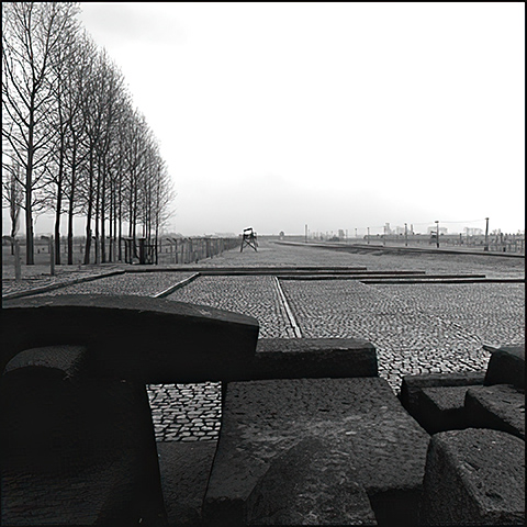 A view of Birkenau