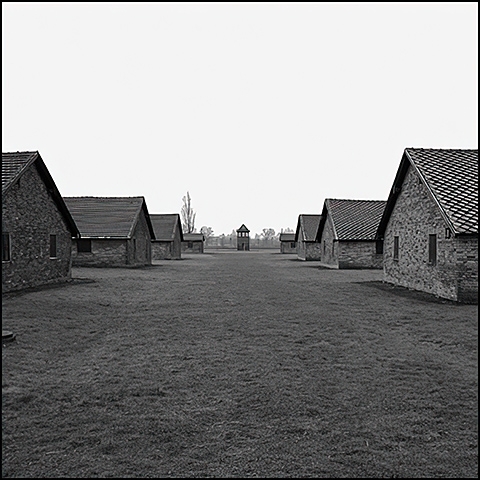 The women's camp at Birkenau