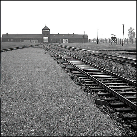 The main watchtower, Birkenau