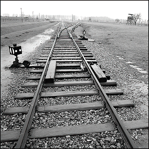 Birkenau trackswitch