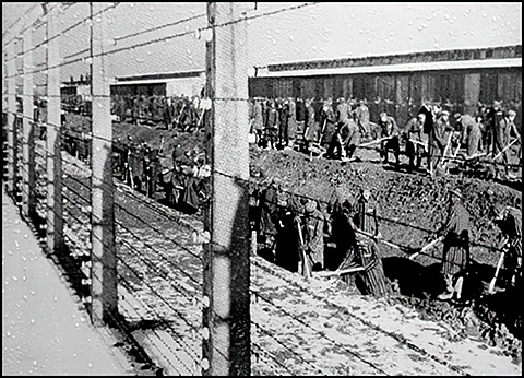 prisoners in Birkenau