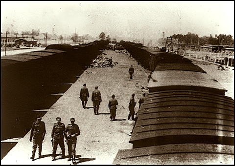 The ramp, Birkenau